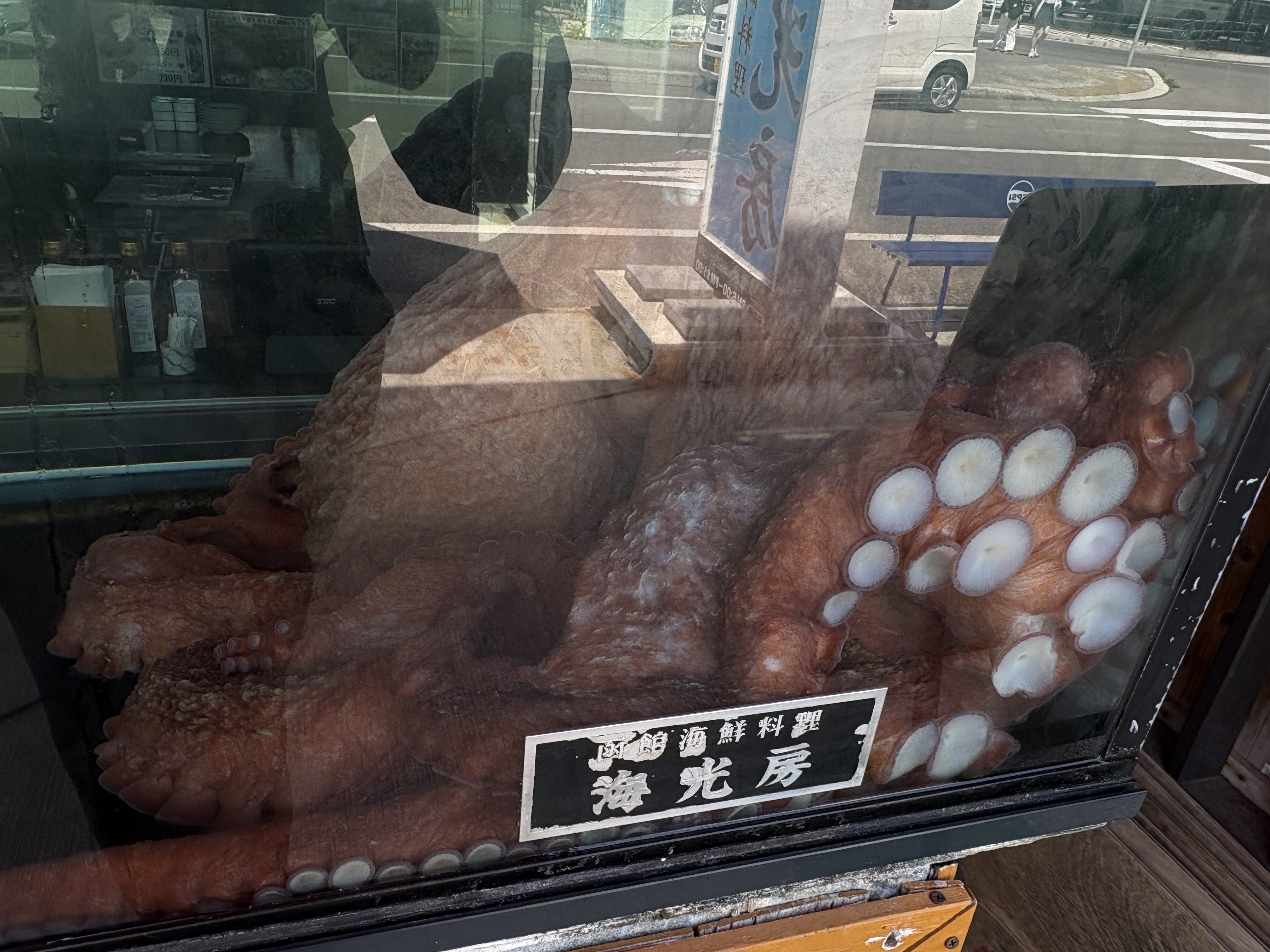 途中で見つけたでっかいタコ
